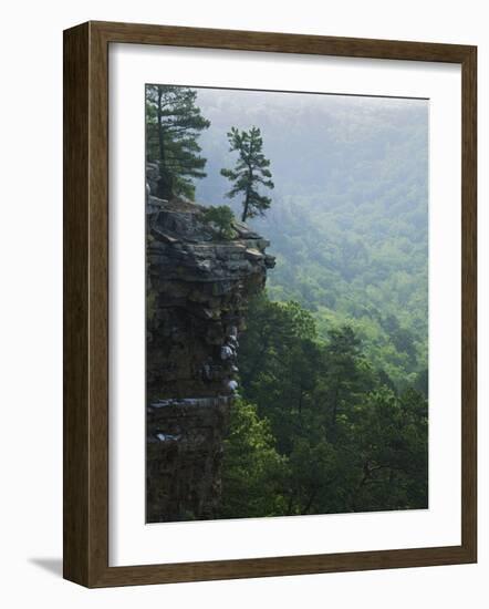 Bluff at Cedar Creek, Petit Jean State Park, Arkansas, USA-Charles Gurche-Framed Photographic Print