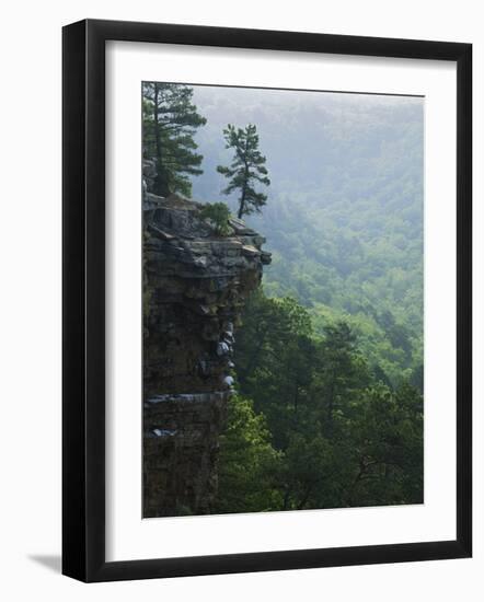 Bluff at Cedar Creek, Petit Jean State Park, Arkansas, USA-Charles Gurche-Framed Photographic Print
