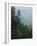 Bluff at Cedar Creek, Petit Jean State Park, Arkansas, USA-Charles Gurche-Framed Photographic Print