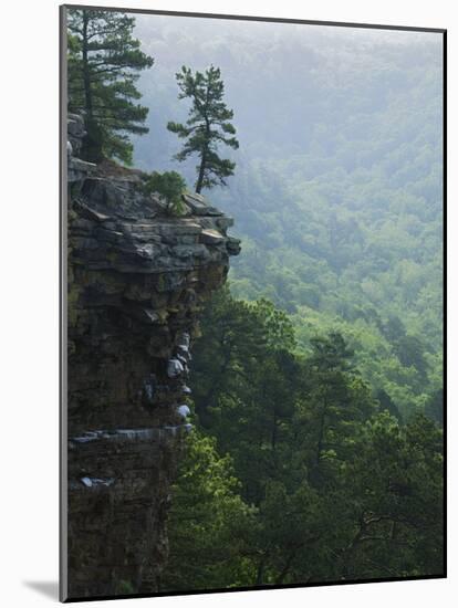 Bluff at Cedar Creek, Petit Jean State Park, Arkansas, USA-Charles Gurche-Mounted Photographic Print