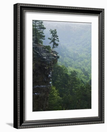 Bluff at Cedar Creek, Petit Jean State Park, Arkansas, USA-Charles Gurche-Framed Photographic Print