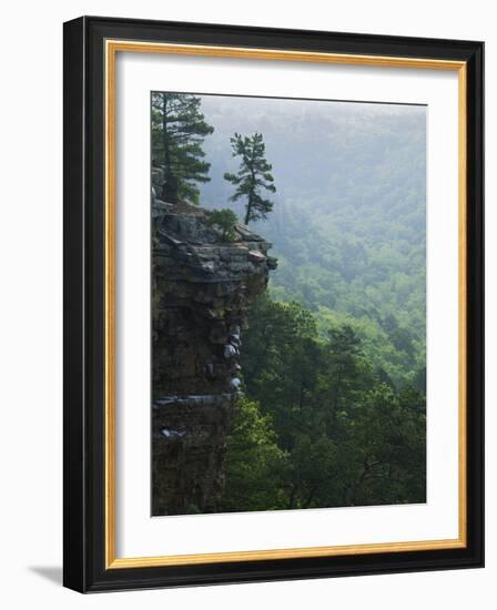 Bluff at Cedar Creek, Petit Jean State Park, Arkansas, USA-Charles Gurche-Framed Photographic Print