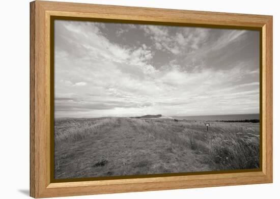 Bluff Path BW-Dana Styber-Framed Premier Image Canvas