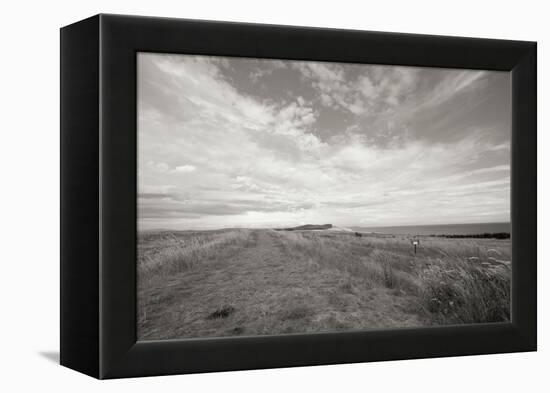 Bluff Path BW-Dana Styber-Framed Premier Image Canvas