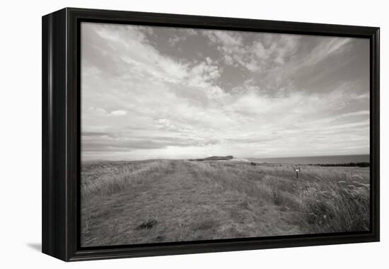 Bluff Path BW-Dana Styber-Framed Premier Image Canvas