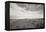 Bluff Path BW-Dana Styber-Framed Premier Image Canvas