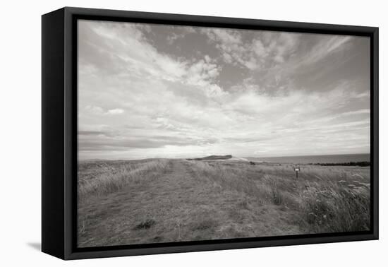 Bluff Path BW-Dana Styber-Framed Premier Image Canvas