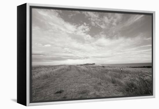 Bluff Path BW-Dana Styber-Framed Premier Image Canvas