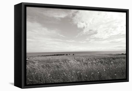 Bluff View BW-Dana Styber-Framed Premier Image Canvas