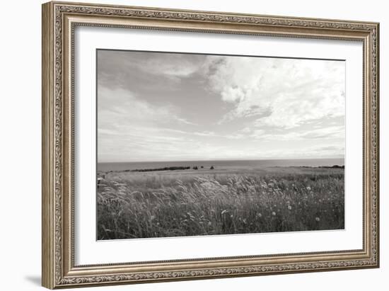 Bluff View BW-Dana Styber-Framed Photographic Print