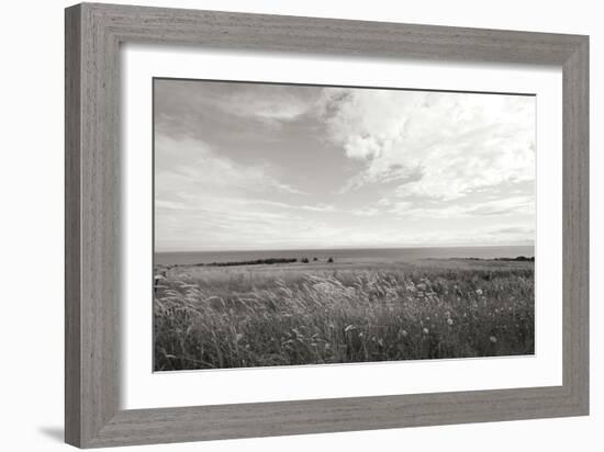 Bluff View BW-Dana Styber-Framed Photographic Print