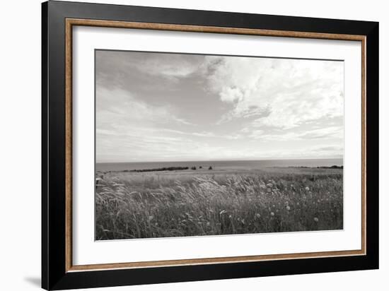 Bluff View BW-Dana Styber-Framed Photographic Print