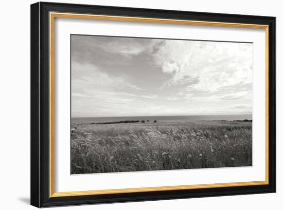 Bluff View BW-Dana Styber-Framed Photographic Print