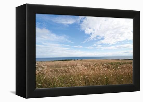 Bluff View-Dana Styber-Framed Premier Image Canvas