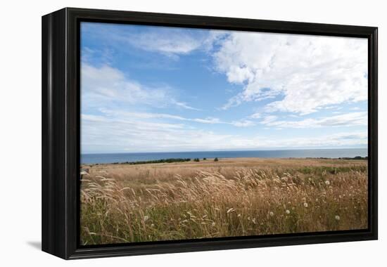 Bluff View-Dana Styber-Framed Premier Image Canvas