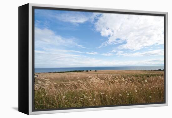 Bluff View-Dana Styber-Framed Premier Image Canvas