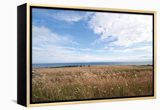 Bluff View-Dana Styber-Framed Premier Image Canvas