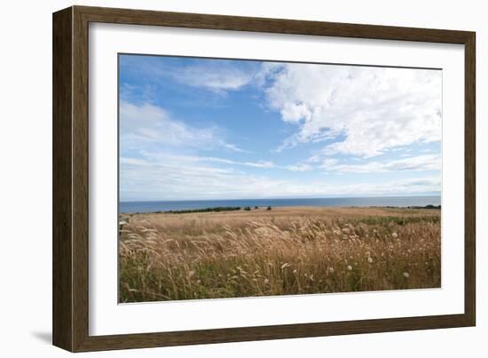 Bluff View-Dana Styber-Framed Photographic Print