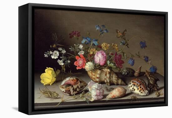 Blumen, Muscheln und Insekten auf einem Steingesims-Balthasar van der Ast-Framed Premier Image Canvas