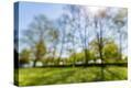 Stretched Canvas Print