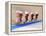 Blurred Action of Cycliing Team Onthe Track-Chris Trotman-Framed Premier Image Canvas