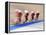 Blurred Action of Cycliing Team Onthe Track-Chris Trotman-Framed Premier Image Canvas