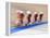 Blurred Action of Cycliing Team Onthe Track-Chris Trotman-Framed Premier Image Canvas