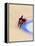 Blurred Action of Cyclist Competing on the Track-Chris Trotman-Framed Premier Image Canvas