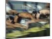 Photographic Print