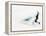 Blurred Action of Pairs Figure Skaters, Torino, Italy-Chris Trotman-Framed Premier Image Canvas