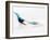 Blurred Action of Pairs Figure Skaters, Torino, Italy-Chris Trotman-Framed Photographic Print