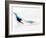 Blurred Action of Pairs Figure Skaters, Torino, Italy-Chris Trotman-Framed Photographic Print