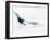 Blurred Action of Pairs Figure Skaters, Torino, Italy-Chris Trotman-Framed Photographic Print