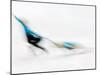 Blurred Action of Pairs Figure Skaters, Torino, Italy-Chris Trotman-Mounted Photographic Print
