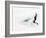 Blurred Action of Pairs Figure Skaters, Torino, Italy-Chris Trotman-Framed Photographic Print