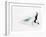 Blurred Action of Pairs Figure Skaters, Torino, Italy-Chris Trotman-Framed Photographic Print