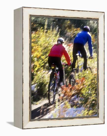 Blurred Action of Recreational Mountain Biker Riding on the Trails-null-Framed Premier Image Canvas