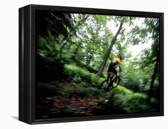 Blurred Action of Recreational Mountain Biker Riding on the Trails-null-Framed Premier Image Canvas