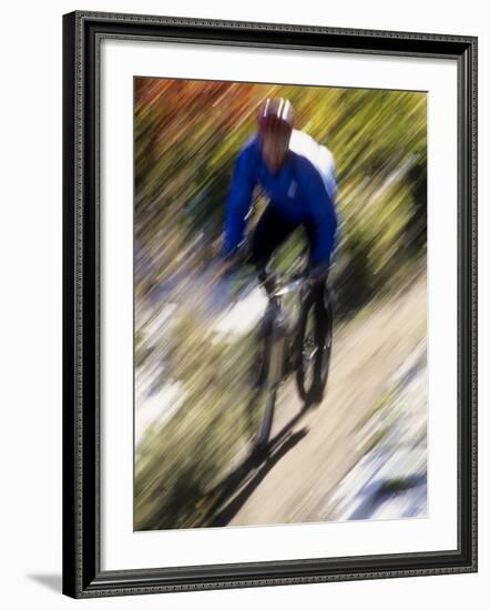 Blurred Action of Recreational Mountain Biker Riding on the Trails--Framed Photographic Print