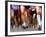 Blurred Action of Runner's Legs Competing in a Race, New York, New York, USA-Chris Trotman-Framed Photographic Print