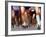 Blurred Action of Runner's Legs Competing in a Race-null-Framed Photographic Print