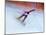 Blurred Action of Snowboarder, Nagano, Japan-null-Mounted Photographic Print