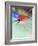 Blurred Action of Speed Skater-Paul Sutton-Framed Photographic Print