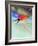 Blurred Action of Speed Skater-Paul Sutton-Framed Photographic Print