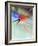 Blurred Action of Speed Skater-Paul Sutton-Framed Photographic Print