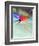 Blurred Action of Speed Skater-Paul Sutton-Framed Photographic Print