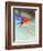 Blurred Action of Speed Skater-Paul Sutton-Framed Photographic Print