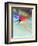 Blurred Action of Speed Skater-Paul Sutton-Framed Photographic Print