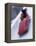 Blurred Action of the Start of 4 Man Bobsled Team, Lake Placid, New York, USA-Chris Trotman-Framed Premier Image Canvas