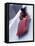 Blurred Action of the Start of 4 Man Bobsled Team, Lake Placid, New York, USA-Chris Trotman-Framed Premier Image Canvas